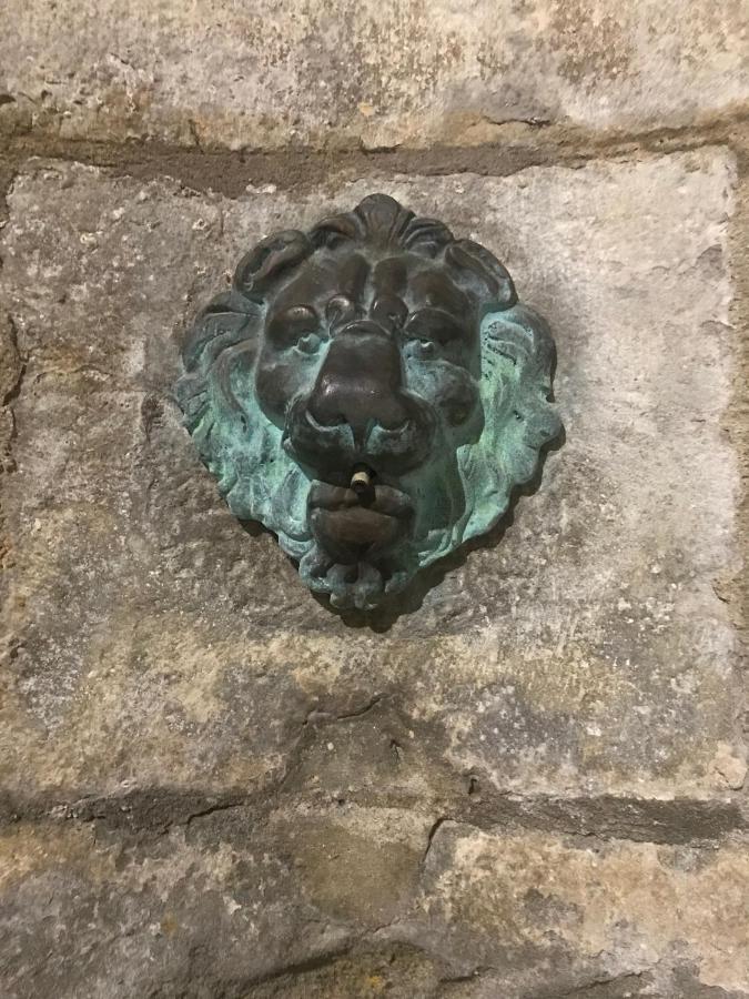 Le Clos Saint Michel Каркассон Экстерьер фото