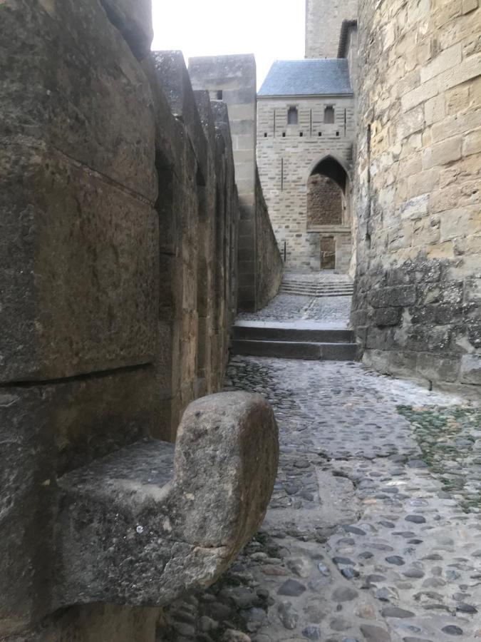 Le Clos Saint Michel Каркассон Экстерьер фото